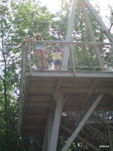 Oh, they climbed the look out tower too and saw a lot of birds.