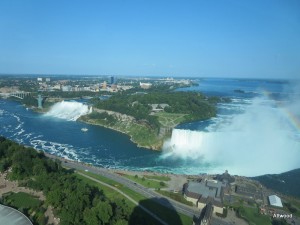 View from the suite