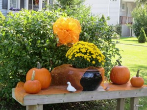 Walking back to their house we passed this amazing display.  Happy fall!