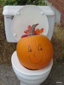 "He, he mommy.  A pumpkin on the potty."