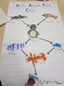 After care is talking about the Artic.  Can you guess who made the penguin?