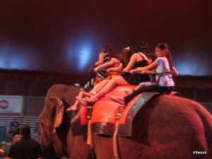 Then we had our elephant ride and Miss E's eyes were as big as saucers.