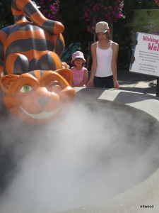 Cheshire Cat smoking fountain.