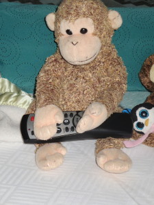 Apparently it was Monkey's turn to have the remote