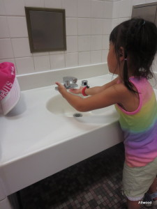 Why do more places not offer a lower sink for children?