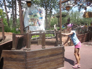 Winnie the Pooh area