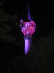 Rapunzel's tower