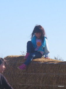 Hay bales to climb