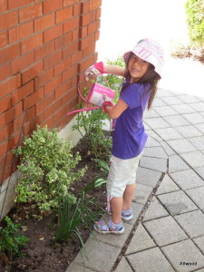 Oh, we had some watering help too.