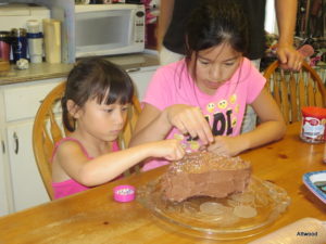 Elspeth made a GF chocolate cake...