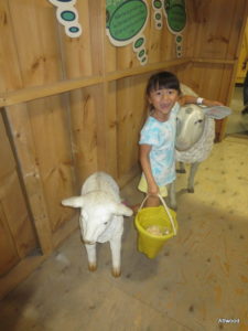 The farm building with Elspeth's favourite - the sheep.